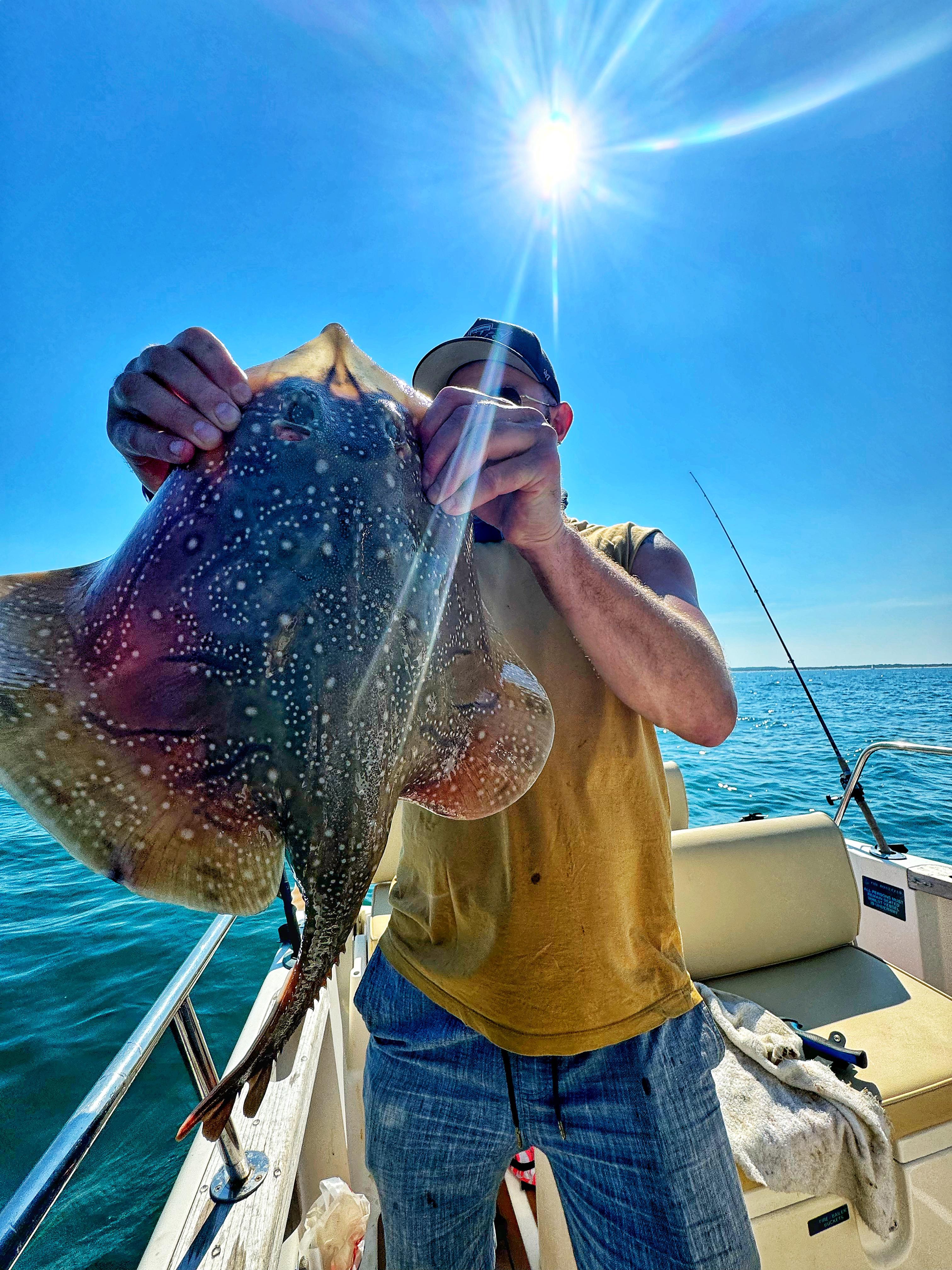 Saltwater angling catches Undulate ray