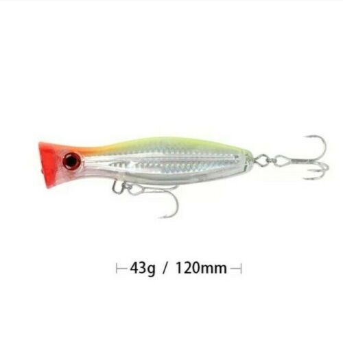 LURE DYNASTY Surface Popper Lure 43g - Saltwater Angling
