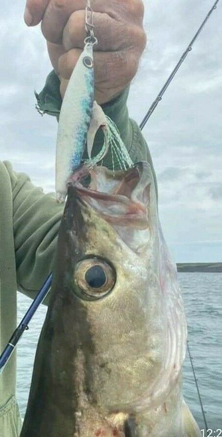 C weights EXTREME GLOW Slow Jigs - Saltwater Angling