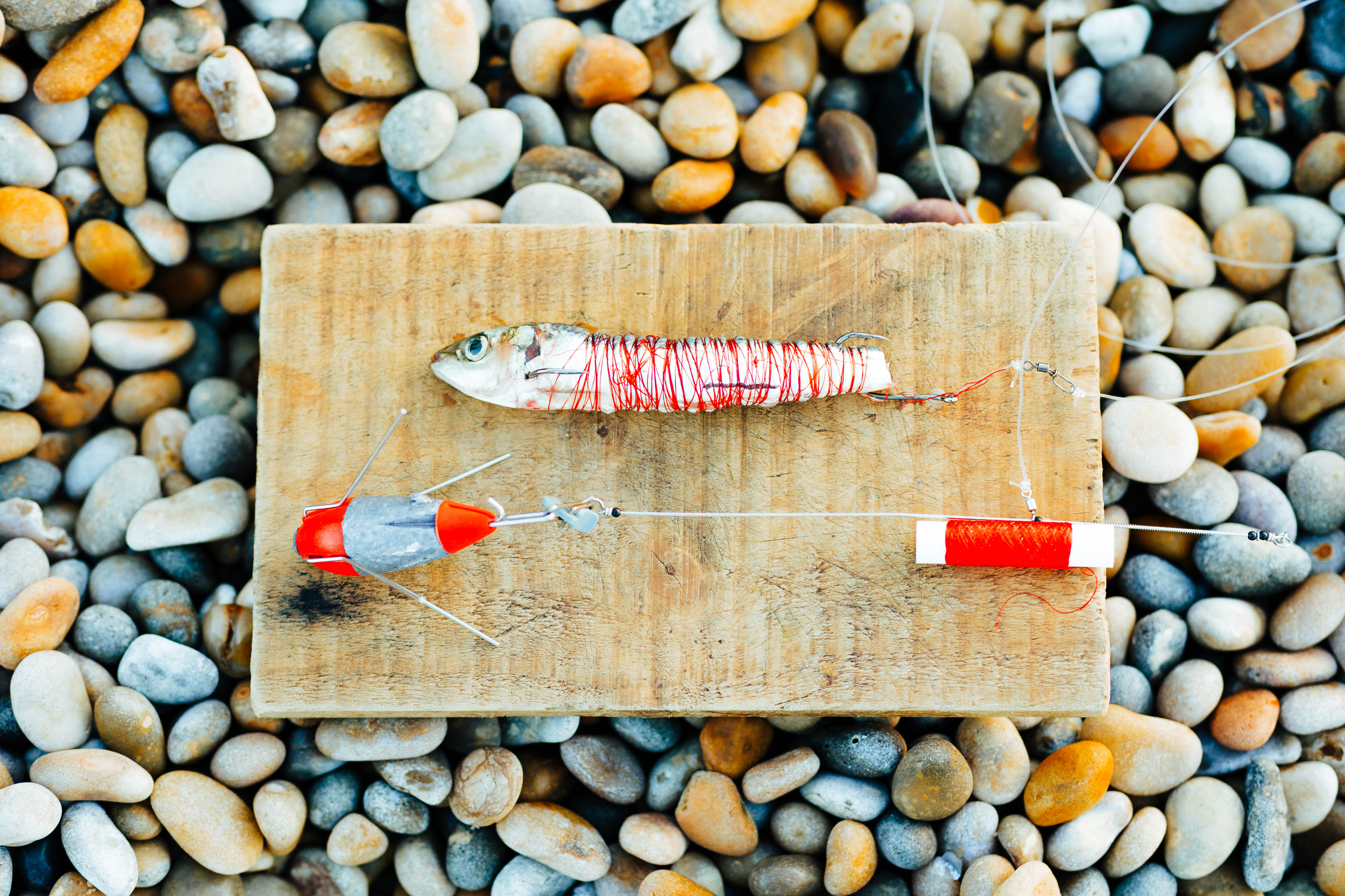 Saltwater Angling